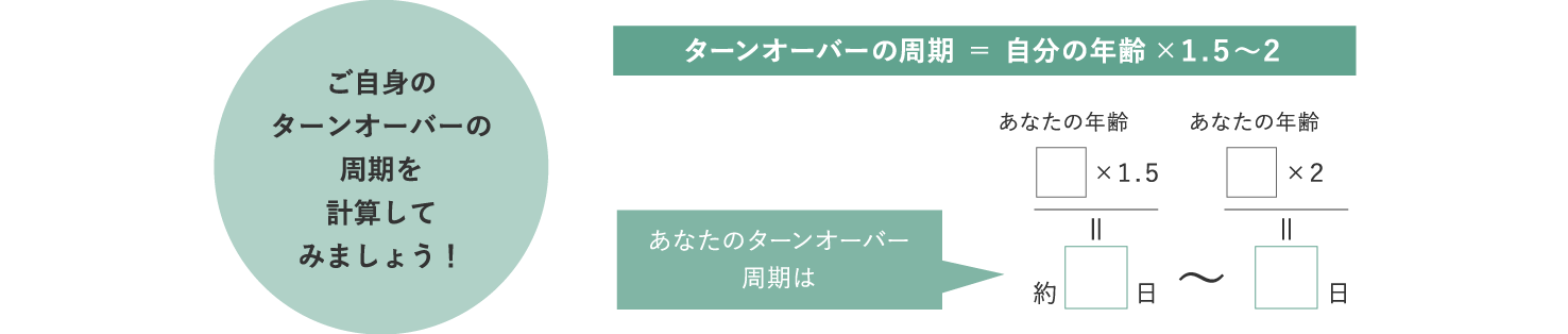 ターンオーバー周期の計算について